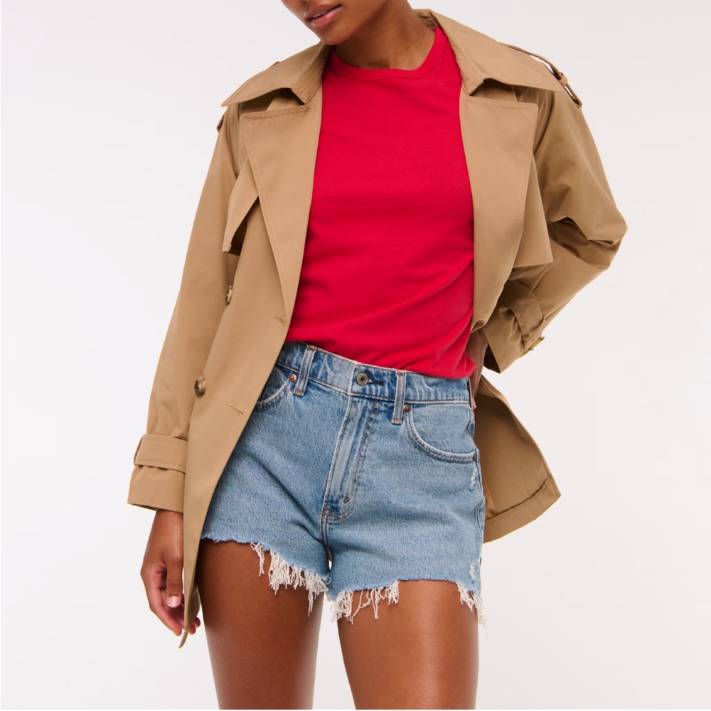 Abercrombie & Fitch Blue Denim Shorts